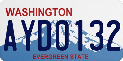 WA license plate AYD0132