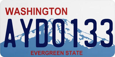 WA license plate AYD0133