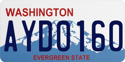 WA license plate AYD0160