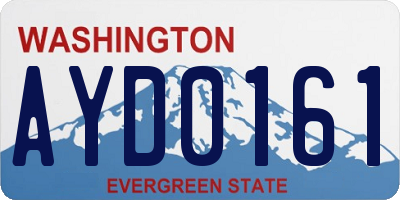 WA license plate AYD0161