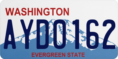 WA license plate AYD0162