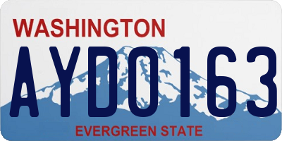 WA license plate AYD0163