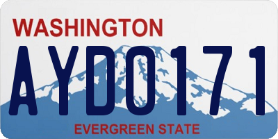 WA license plate AYD0171