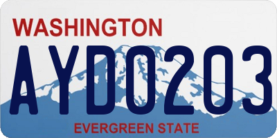WA license plate AYD0203