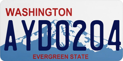 WA license plate AYD0204