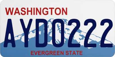 WA license plate AYD0222