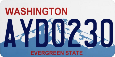 WA license plate AYD0230