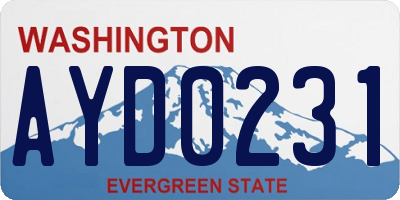 WA license plate AYD0231