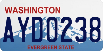 WA license plate AYD0238