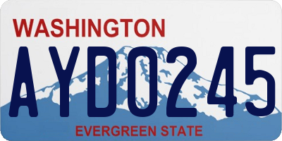 WA license plate AYD0245