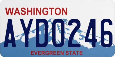 WA license plate AYD0246