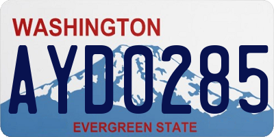 WA license plate AYD0285