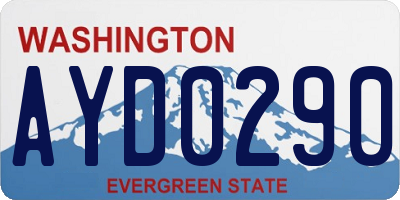 WA license plate AYD0290