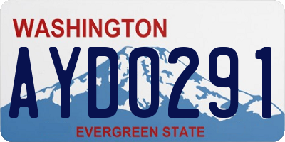 WA license plate AYD0291