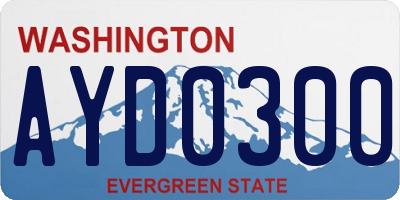 WA license plate AYD0300