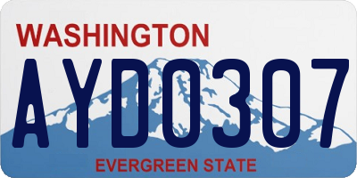 WA license plate AYD0307