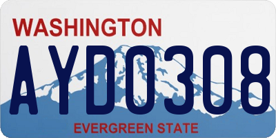 WA license plate AYD0308
