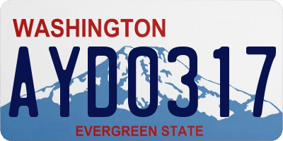 WA license plate AYD0317