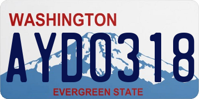 WA license plate AYD0318