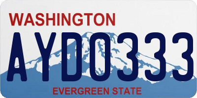 WA license plate AYD0333