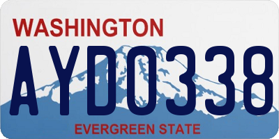 WA license plate AYD0338