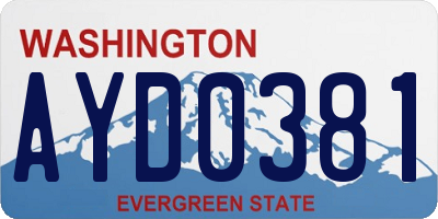WA license plate AYD0381