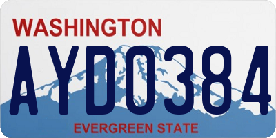 WA license plate AYD0384