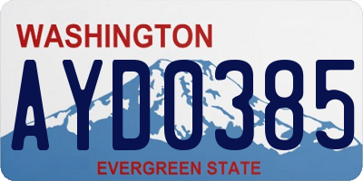 WA license plate AYD0385
