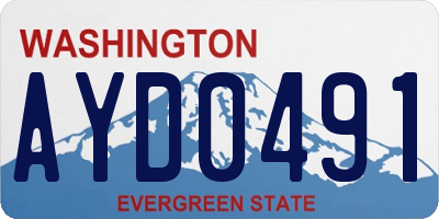 WA license plate AYD0491
