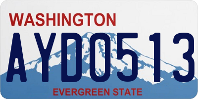 WA license plate AYD0513