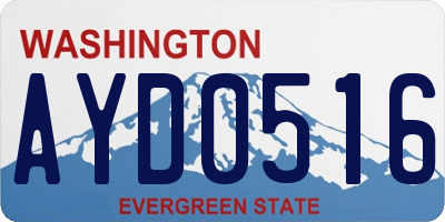 WA license plate AYD0516
