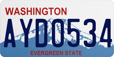 WA license plate AYD0534