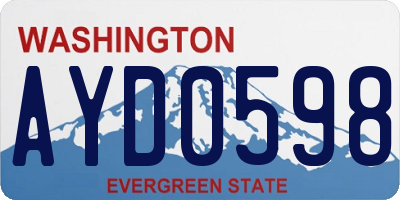 WA license plate AYD0598