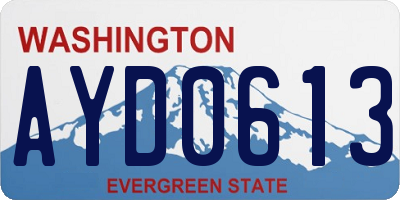 WA license plate AYD0613