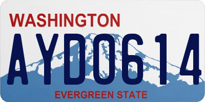 WA license plate AYD0614