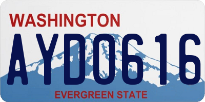 WA license plate AYD0616