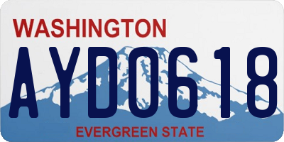 WA license plate AYD0618
