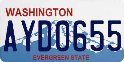 WA license plate AYD0655