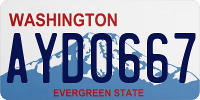 WA license plate AYD0667