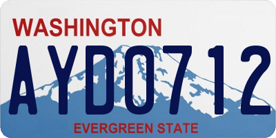 WA license plate AYD0712
