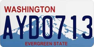 WA license plate AYD0713