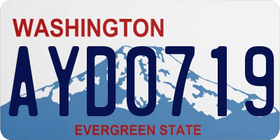 WA license plate AYD0719
