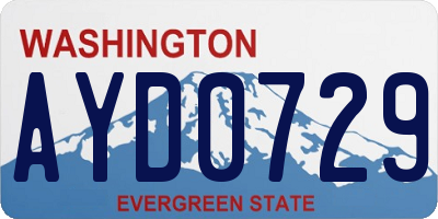 WA license plate AYD0729