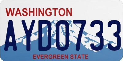 WA license plate AYD0733
