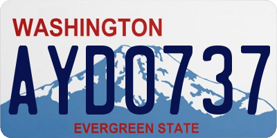 WA license plate AYD0737