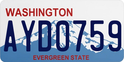 WA license plate AYD0759