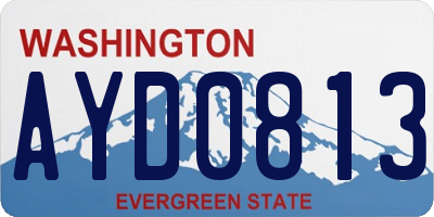 WA license plate AYD0813
