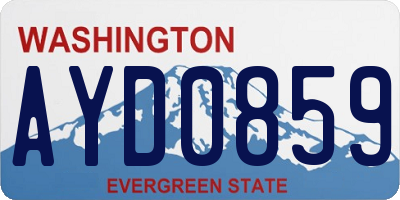 WA license plate AYD0859