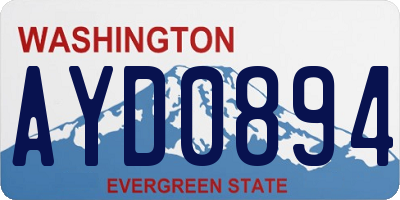WA license plate AYD0894