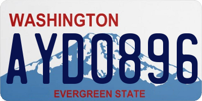 WA license plate AYD0896